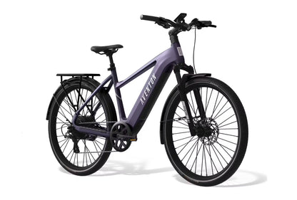 Level 3 Ebike