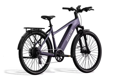 Level 3 Ebike