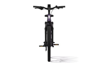 Level 3 Ebike