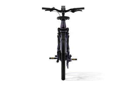 Level 3 Ebike