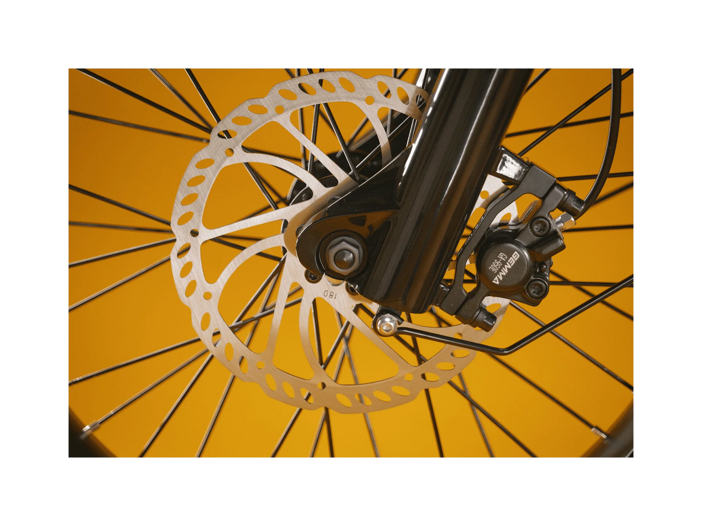 RadRunner™ Plus Electric Cargo Utility Bike