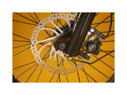 Rad Runner Plus Long Range