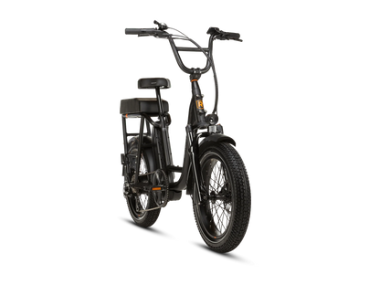 RadRunner™ Plus Electric Cargo Utility Bike